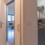 Sud - Jonquilles 217 - Happy