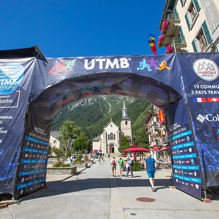 Sud - Jonquilles 217 - Happy