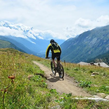 Sud - Jonquilles 217 - Happy *