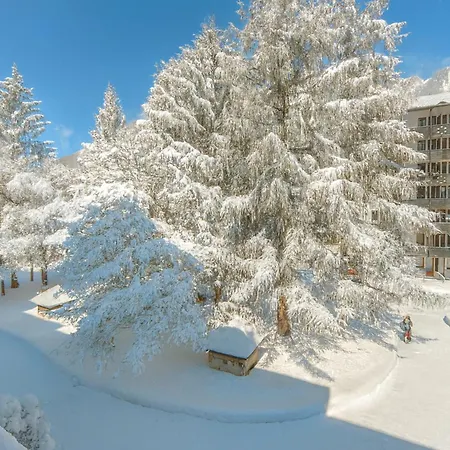 Sud - Jonquilles 217 - Happy Appartement Chamonix