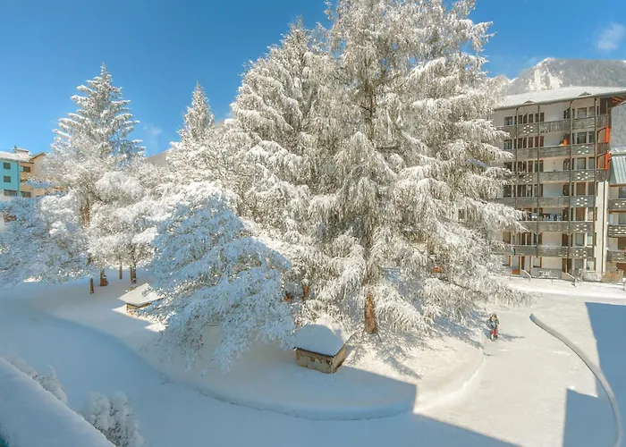 Sud - Jonquilles 217 - Happy Appartement Chamonix